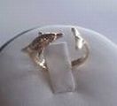 A dolphin ring - on a stand