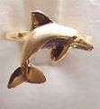 Dolphin ring pictures guide - Spinner dolphin ring