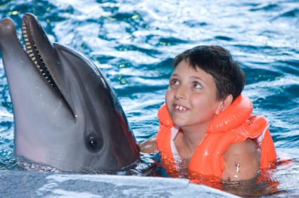 amazing dolphin facts picture: for a boy, the dolphin is amazing