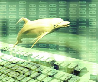 Digital Culture's Dolphin, Jumping with Joy