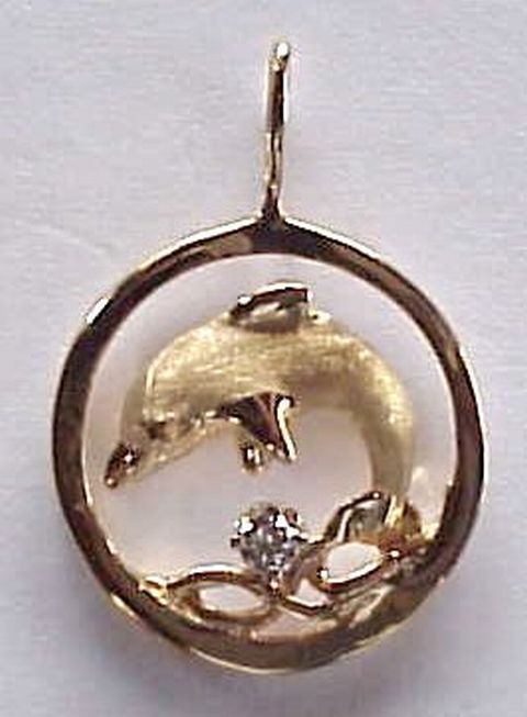 Dolphin Jewelry - A Dolphin in a Golden Circle