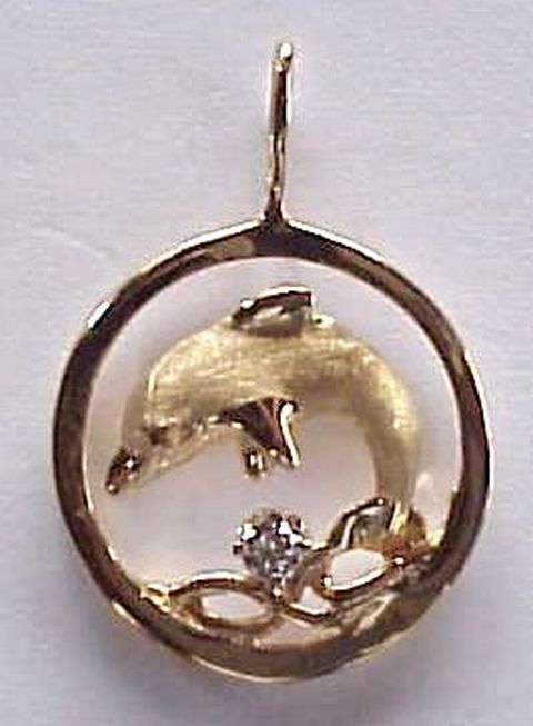 Dolphin Jewelry - A Dolphin in a Golden Circle