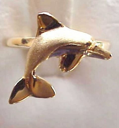 Dolphin ring guide - spinner dolphin ring picture